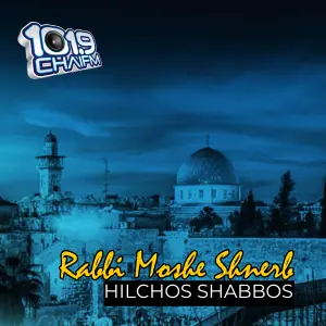 Hilchos Shabbos with Rabbi Moshe Shnerb