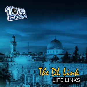 Life Links with DL Link